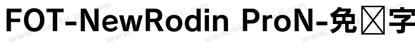 FOT-NewRodin ProN字体转换